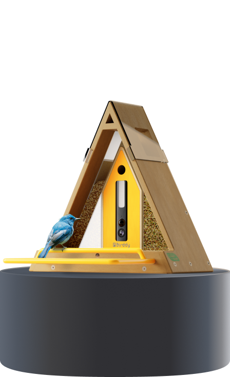 Birddy Smart Feeder GreenTough™